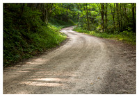 Forest Road 67, Summer, Nantahala National Forest, NC
