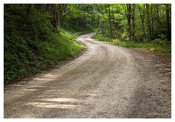Forest Road 67, Summer, Nantahala National Forest, NC