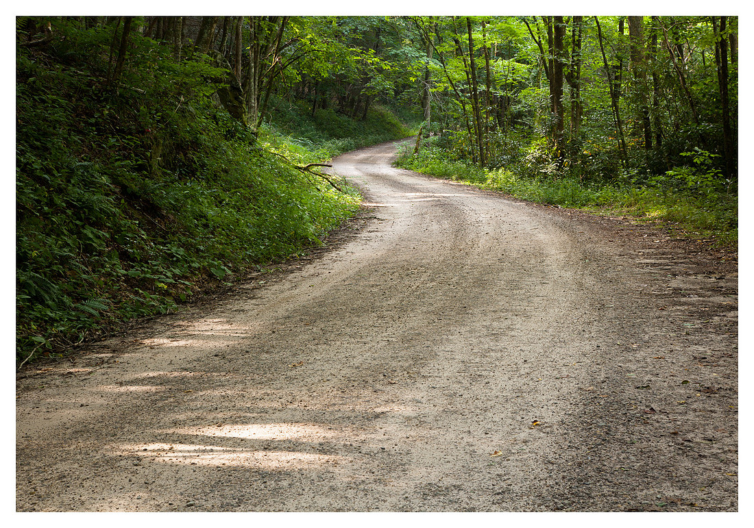 Forest Road 67, Summer, Nantahala National Forest, NC