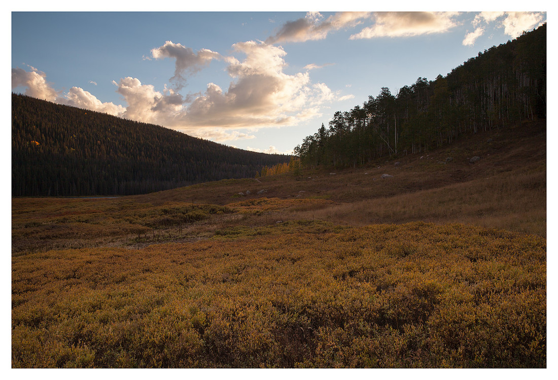 Meadow, Sunset, Eagles Nest Wilderness, White River National Forest, CO