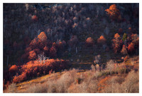 Graveyard Fields, Fall Color, Blue Ridge Parkway, NC