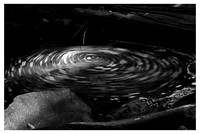 Pool, Bubbles, Twig, Nantahala National Forest, NC