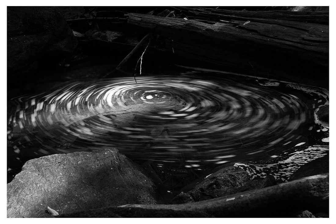 Pool, Bubbles, Twig, Nantahala National Forest, NC