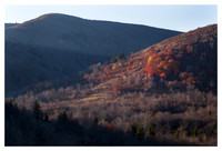 Fall Color Cluster, Evening, Graveyard Fields, Blue Ridge Parkway, NC